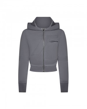 Trapstar Hyperdrive Rib Panel Zip Mikina s Kapucnou Damske Siva Slovensko | Trapstar SK 45236-DRYN